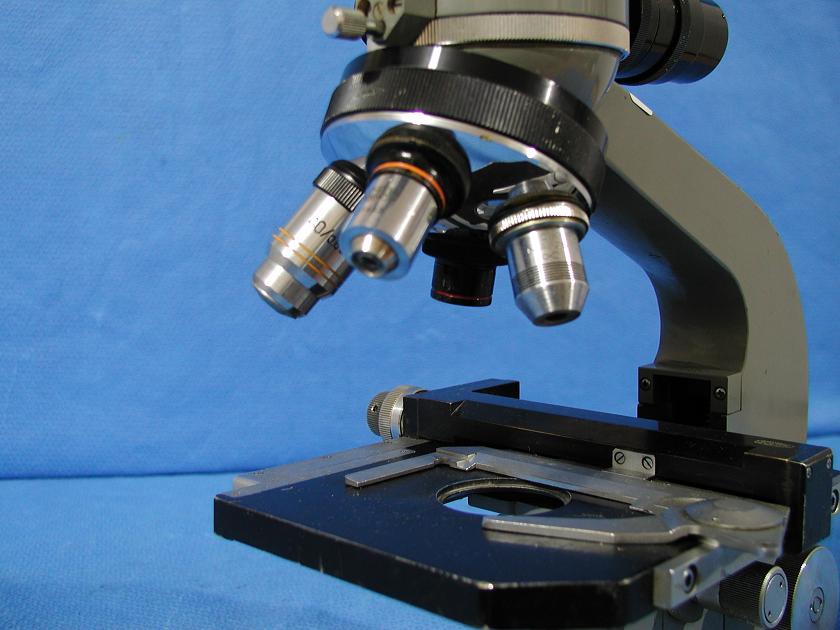 1172: Olympus MF Microscope, Optic / Microscope, Olympus