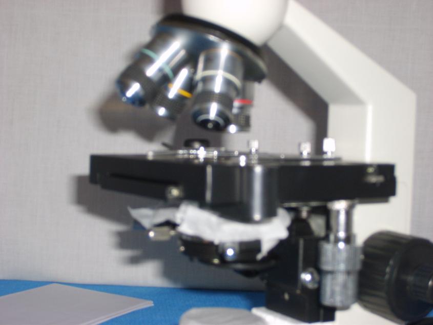 1150: Microscope, Optic / Microscope